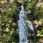 アパート Mit Seeblick - Ossiacher Gerlitzen *