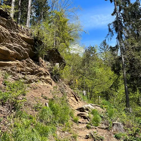 Mit Seeblick - Ossiacher Gerlitzen アパート *