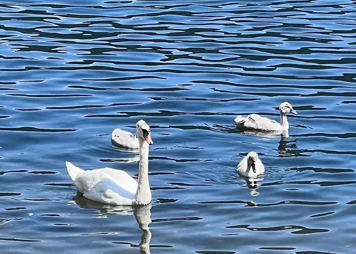 Mit Seeblick - Ossiacher Gerlitzen
