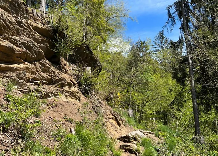 Mit Seeblick - Ossiacher Gerlitzen Apartament *